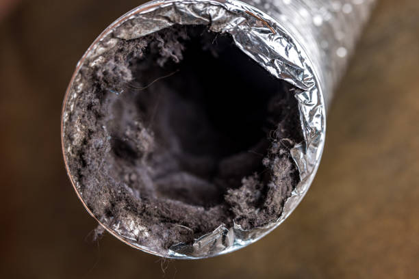 Best Best Air Duct Cleaning Company  in Derby, CO