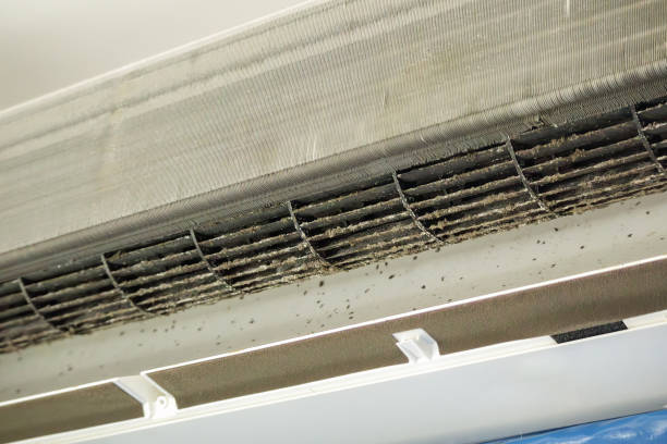 Best Commercial Air Duct Cleaning  in Derby, CO